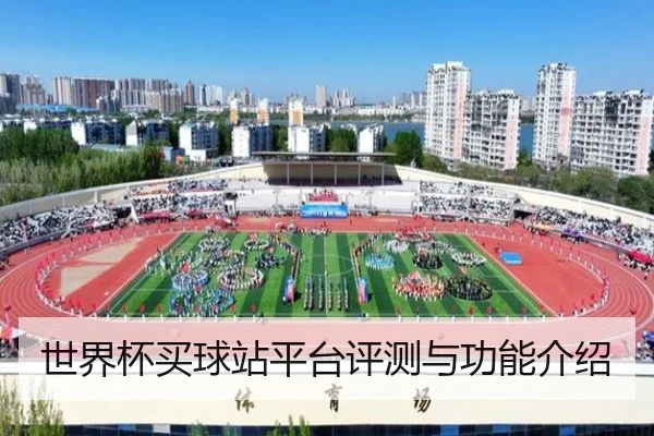 世界杯买球站平台评测与功能介绍