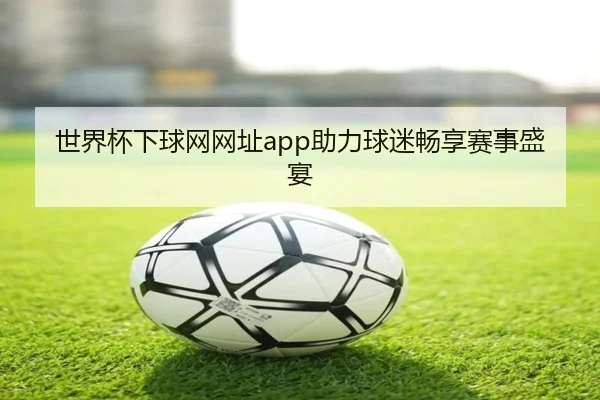 世界杯下球网网址app助力球迷畅享赛事盛宴